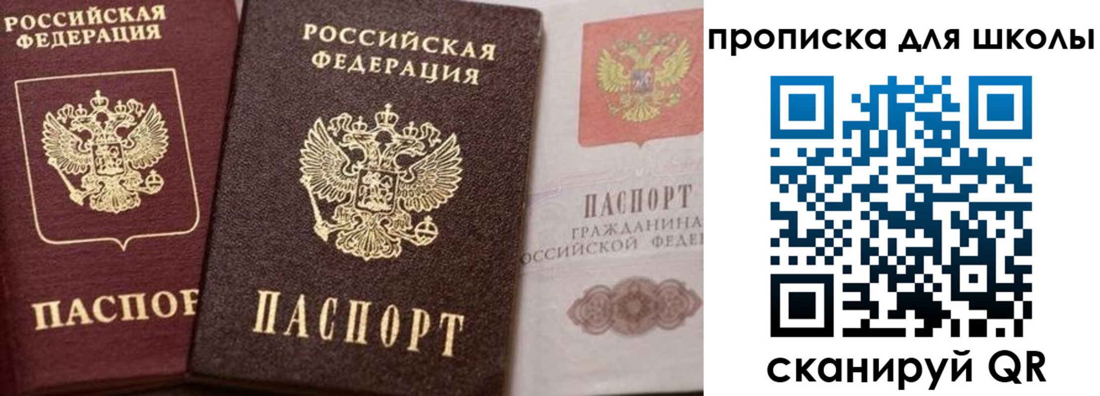 прописка законно в Заринске